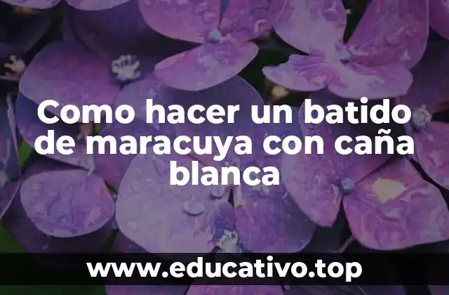 Como hacer un batido de maracuya con caña blanca