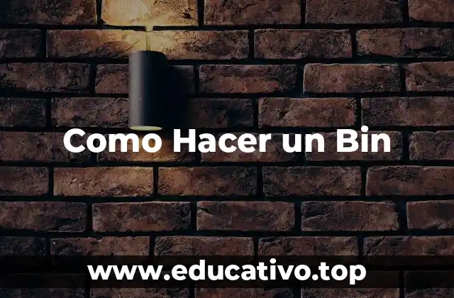 Como Hacer un Bin