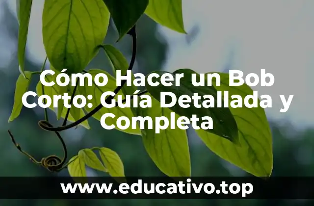 Cómo Hacer un Bob Corto: Guía Detallada y Completa