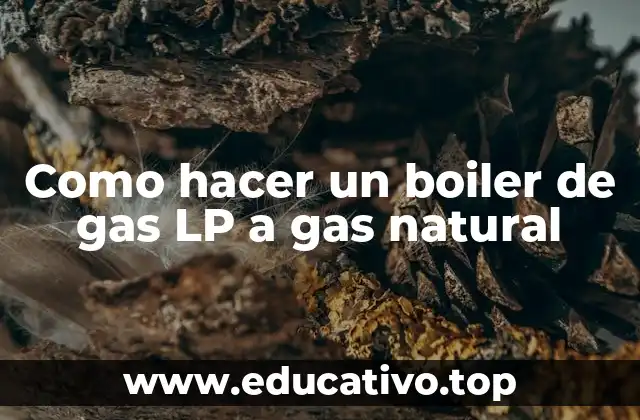 Como hacer un boiler de gas LP a gas natural