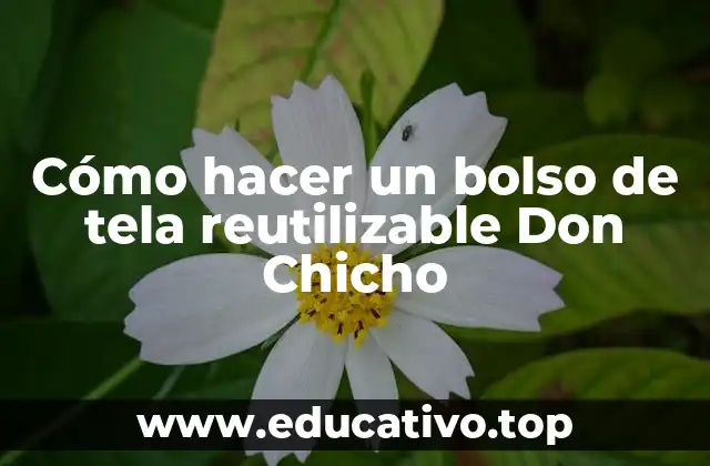 Cómo hacer un bolso de tela reutilizable Don Chicho