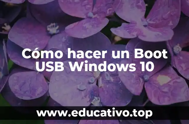 Cómo hacer un Boot USB Windows 10