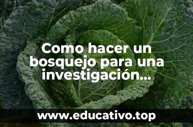 Como hacer un bosquejo para una investigación documental