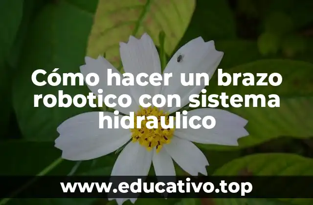 Cómo hacer un brazo robotico con sistema hidraulico