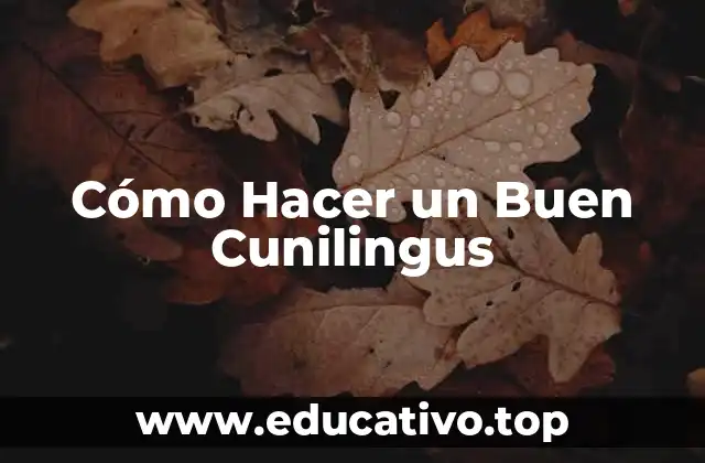 Cómo Hacer un Buen Cunilingus