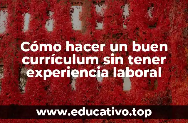 Cómo hacer un buen currículum sin tener experiencia laboral