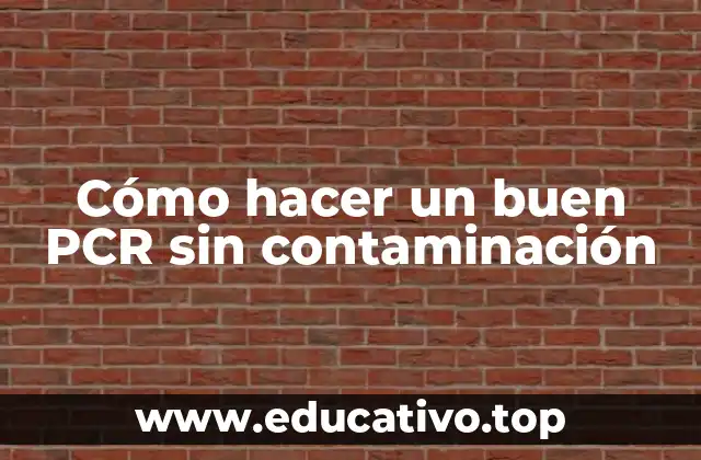 Cómo hacer un buen PCR sin contaminación