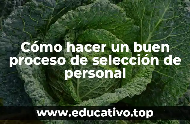 Cómo hacer un buen proceso de selección de personal