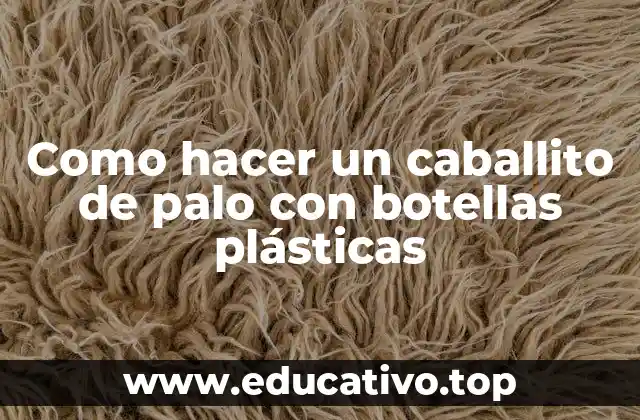 Como hacer un caballito de palo con botellas plásticas