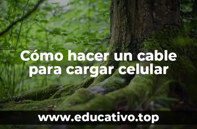 Cómo hacer un cable para cargar celular