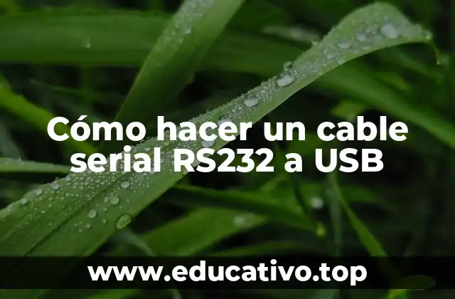 Cómo hacer un cable serial RS232 a USB