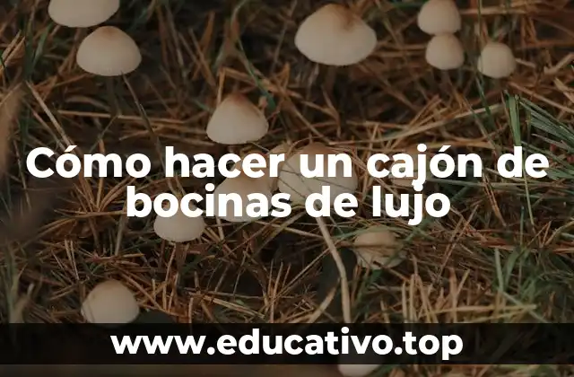 Cómo hacer un cajón de bocinas de lujo