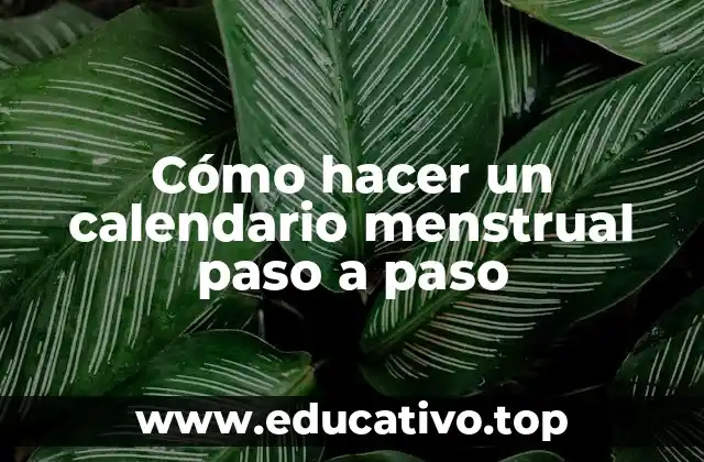 Cómo hacer un calendario menstrual paso a paso