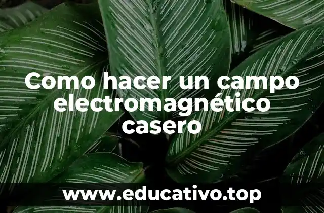 Como hacer un campo electromagnético casero