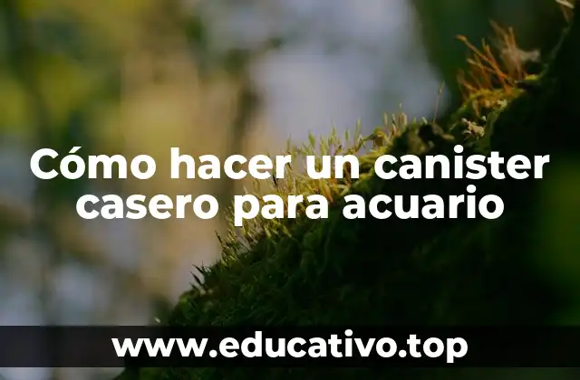 Cómo hacer un canister casero para acuario
