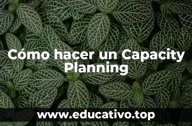 Cómo hacer un Capacity Planning