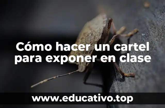 Cómo hacer un cartel para exponer en clase