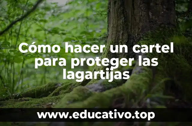 Cómo hacer un cartel para proteger las lagartijas