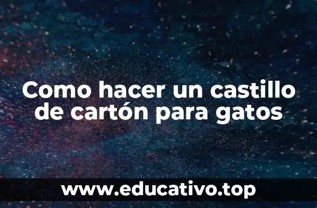 Como hacer un castillo de cartón para gatos