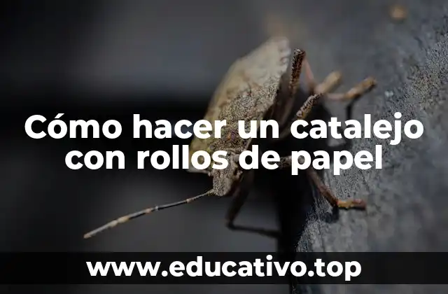Cómo hacer un catalejo con rollos de papel