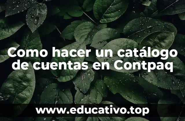 Como hacer un catálogo de cuentas en Contpaq