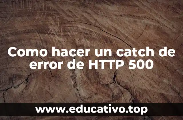 Como hacer un catch de error de HTTP 500