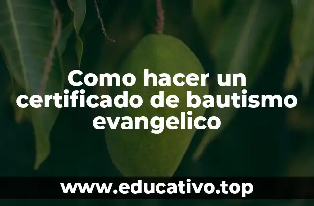 Como hacer un certificado de bautismo evangelico