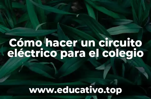 Cómo hacer un circuito eléctrico para el colegio