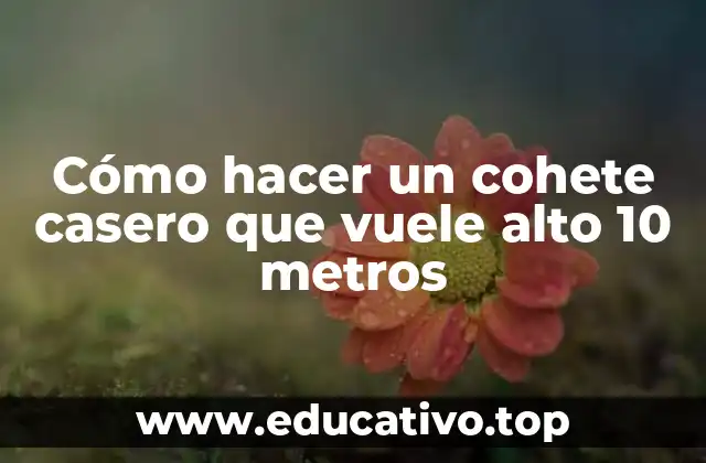 Cómo hacer un cohete casero que vuele alto 10 metros