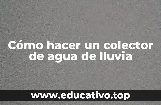 Cómo hacer un colector de agua de lluvia