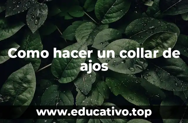 Como hacer un collar de ajos