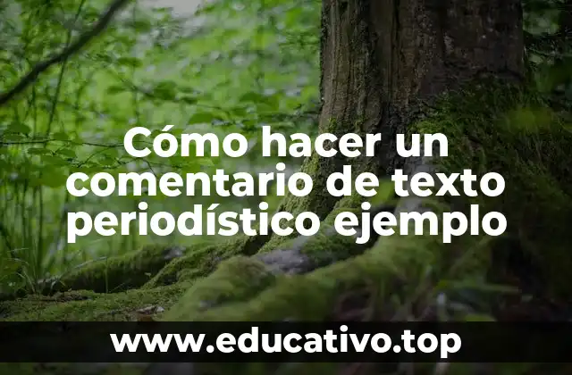 Cómo hacer un comentario de texto periodístico ejemplo