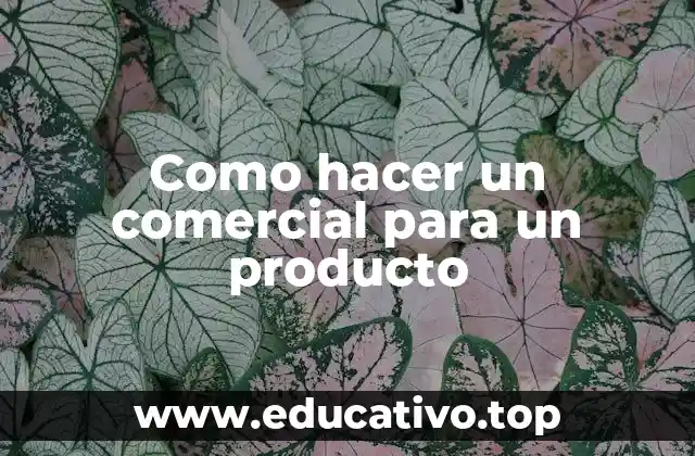 Como hacer un comercial para un producto