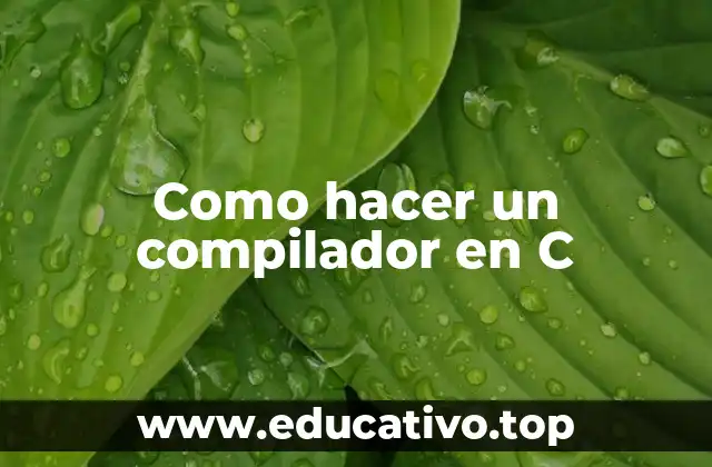 Como hacer un compilador en C