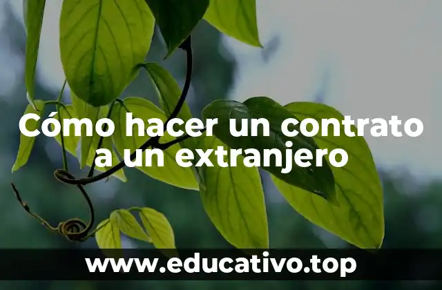Cómo hacer un contrato a un extranjero