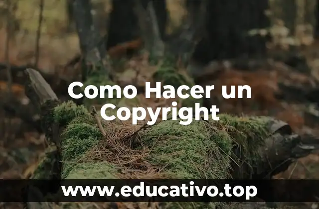 Como Hacer un Copyright