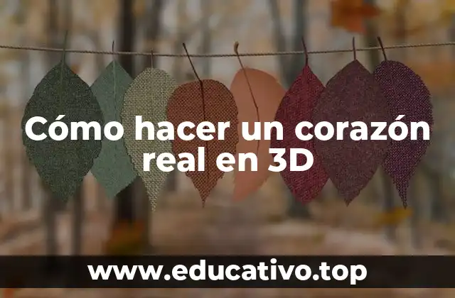 Cómo hacer un corazón real en 3D