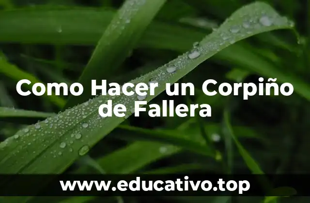 Como Hacer un Corpiño de Fallera