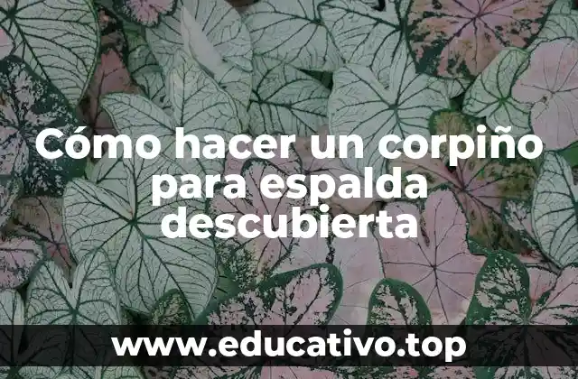 Cómo hacer un corpiño para espalda descubierta