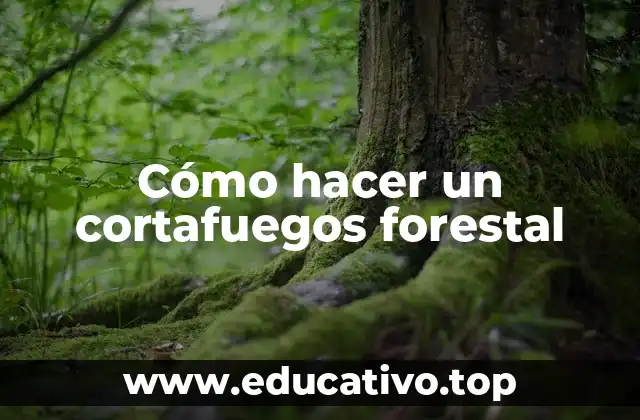 Cómo hacer un cortafuegos forestal