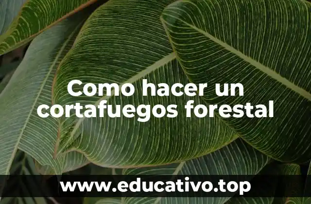 Como hacer un cortafuegos forestal
