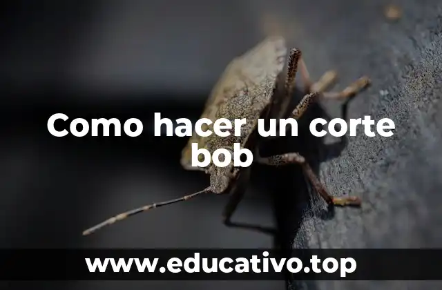 Como hacer un corte bob