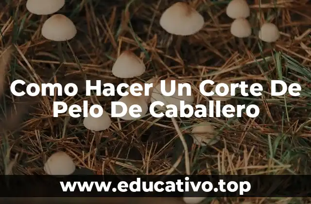 Como Hacer Un Corte De Pelo De Caballero