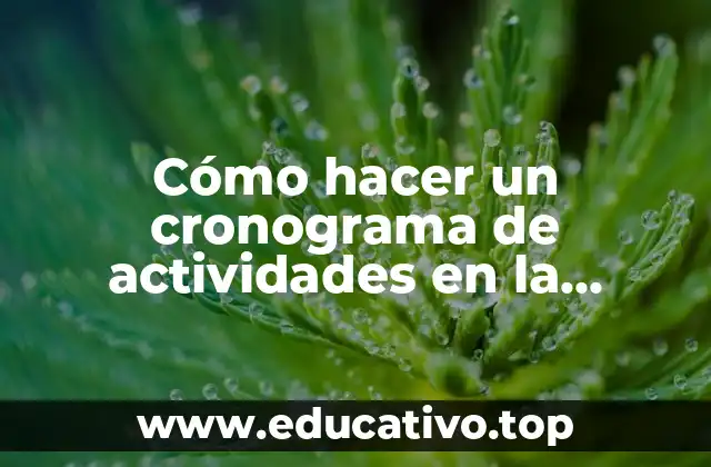 Cómo hacer un cronograma de actividades en la metodología de la investigación