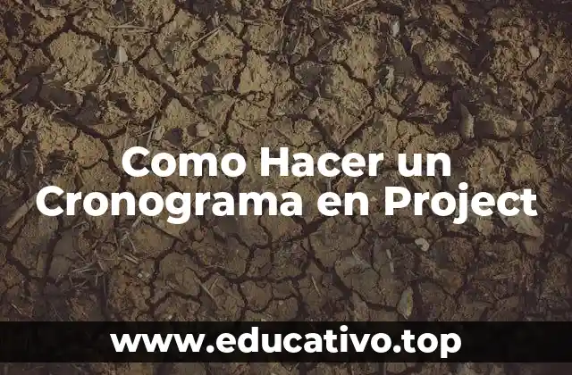 Como Hacer un Cronograma en Project