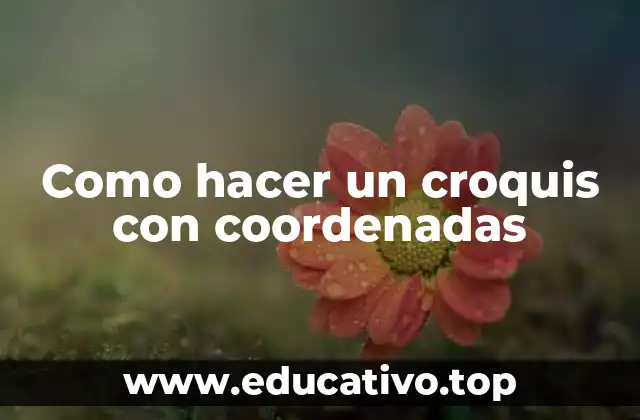 Como hacer un croquis con coordenadas