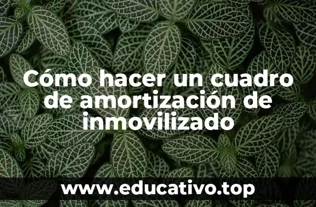 Cómo hacer un cuadro de amortización de inmovilizado