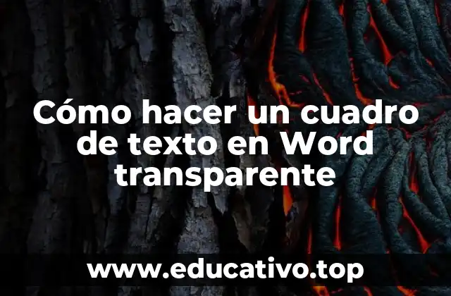 Cómo hacer un cuadro de texto en Word transparente