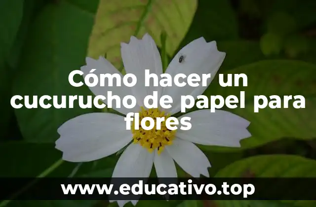 Cómo hacer un cucurucho de papel para flores