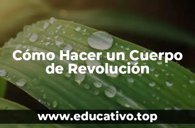 Cómo Hacer un Cuerpo de Revolución